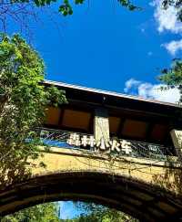 人生建議:一定要坐一次森林小火車