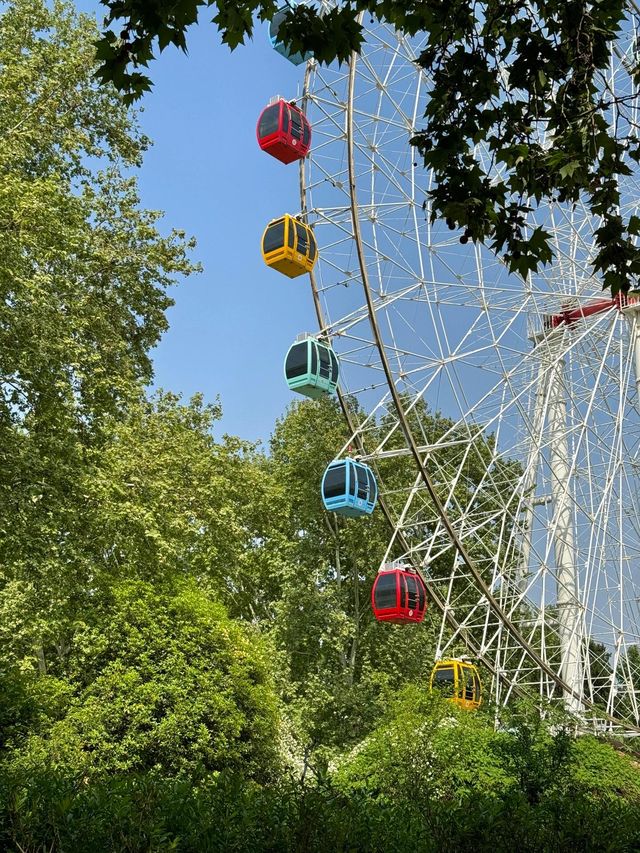 碧沙崗公園-藏著鄭州才懂的忠義和浪漫