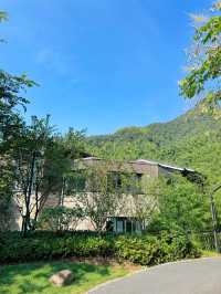 住進群山環抱的竹海，來一場森系療癒