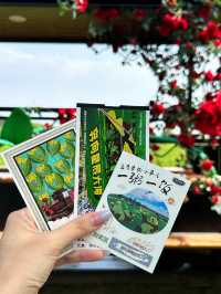 沈陽｜稻夢空間攻略