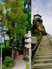 可以俯瞰東洋三十六村美景的仙山｜周寧仙風山省級森林公園