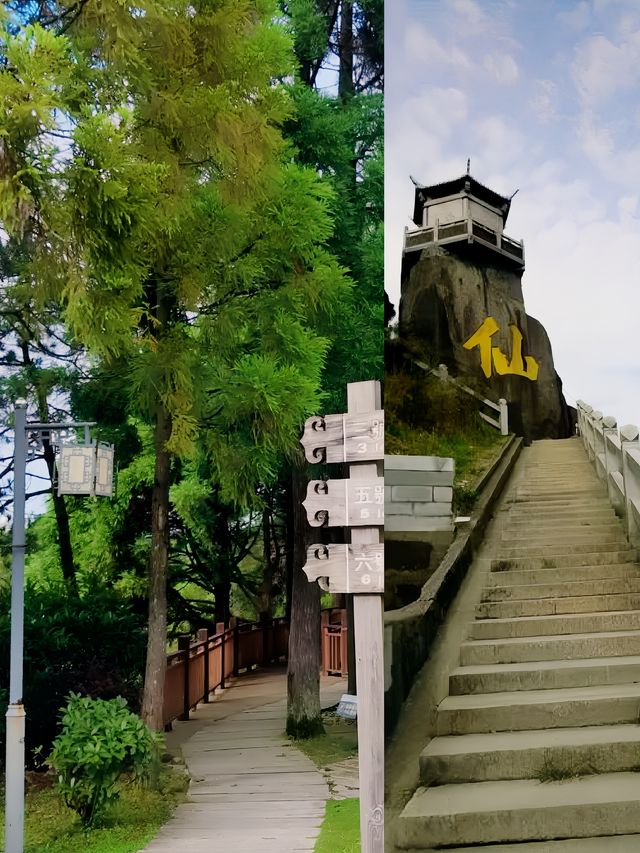 可以俯瞰東洋三十六村美景的仙山｜周寧仙風山省級森林公園