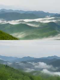 莫干山這條路線已經美到失語！人少景美好絕