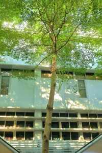 9月的深圳，依舊是37℃的夏天