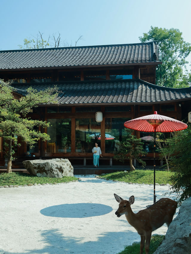 其實我並不是去了奈良,而是在成都玩水和餵鹿、泡私人溫泉。