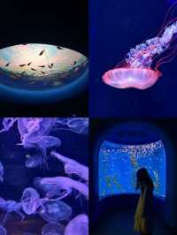 深圳南山區海洋奇夢館 🌊🐋