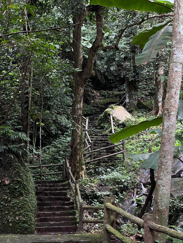 雲南秘境|西盟·龍魔爺聖地