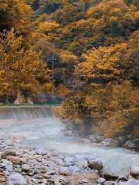 秦嶺深處，黃柏塬的秋色畫卷