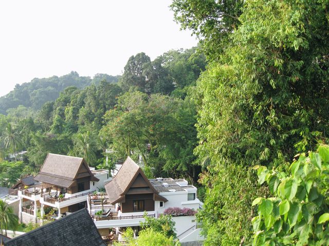 人醉綠中海。