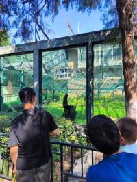 濟南動物園，太陽城。