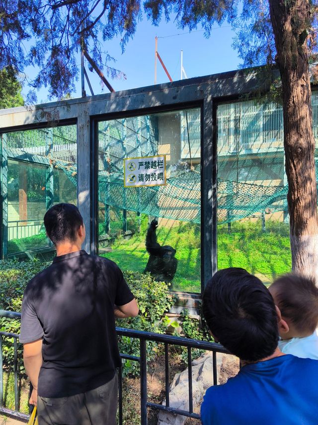 濟南動物園，太陽城。