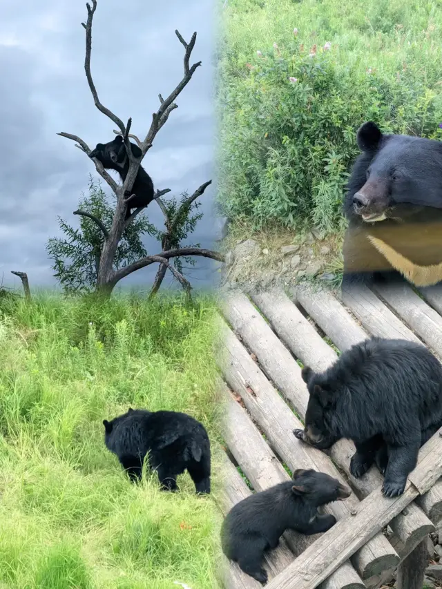 중국 최동단 - 푸위안 헤이샤쯔섬 관광지