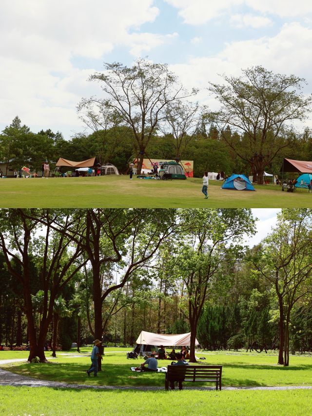 魔都最懂浪漫的公園。