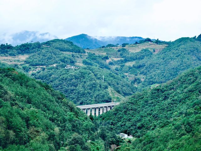 哀牢山谷‧無量景東！。