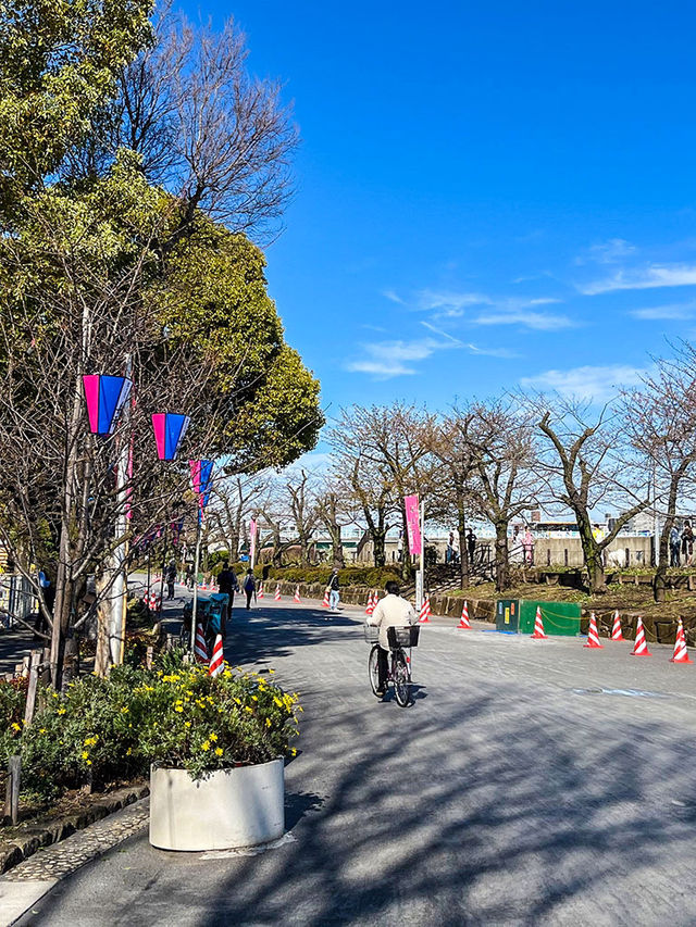 東京景點｜隅田公園：賞櫻與花火大會的勝地