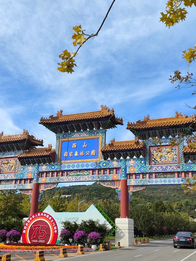 北京西山森林公園｜走進綠色仙境，感悟寧靜之美！。