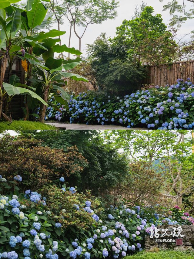 峨眉民宿｜山野小院·拈花溪，盛夏避暑好去處！。