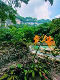 水鳥天堂法國里爾鷺鳥湖｜探索法國北部的自然濕地。