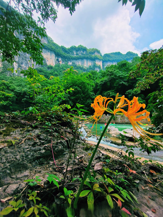 水鳥天堂法國里爾鷺鳥湖｜探索法國北部的自然濕地。