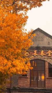 北平之秋便是天堂。