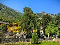 九華後山的九子岩也很美。