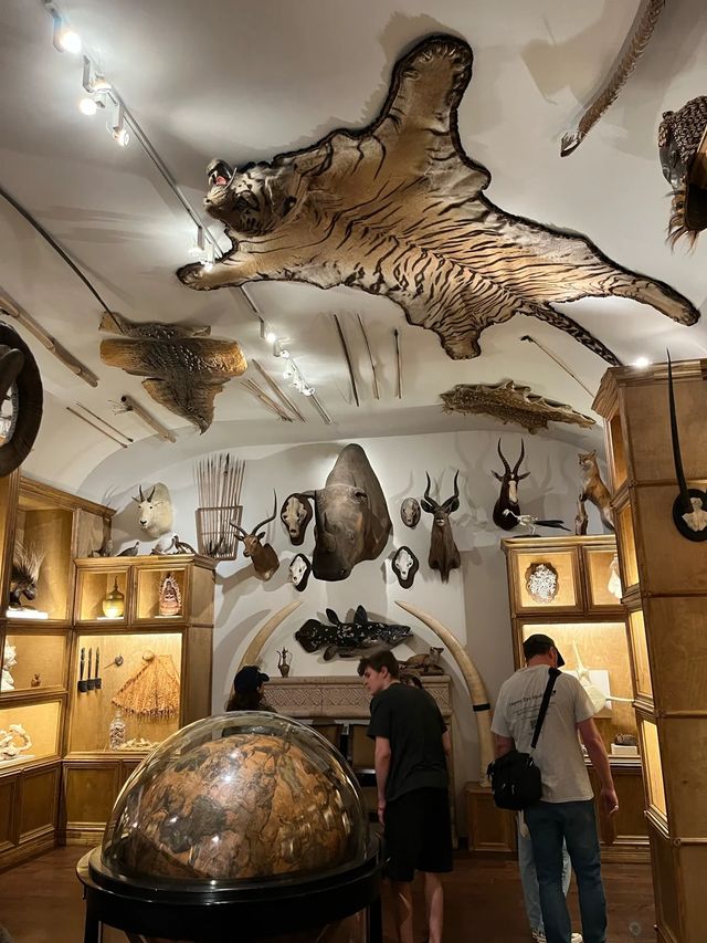 休斯頓博物館區之旅指南！。