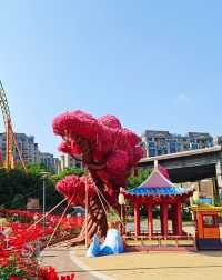 徐州主題樂園 | 一個可以玩足一整天的主題樂園。