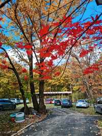 西安朱雀國家森林公園|我在秦嶺之巔等你。