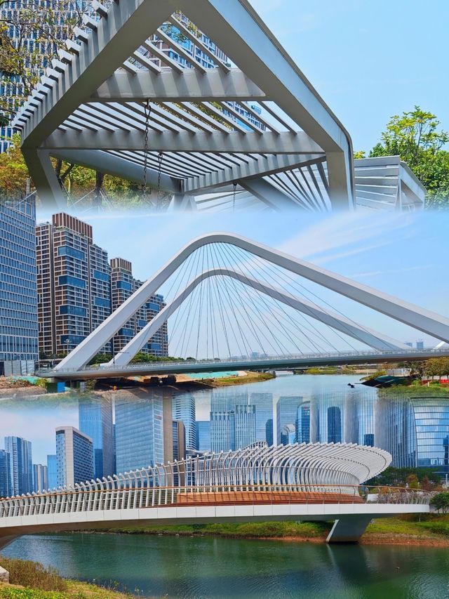 前海桂灣公園：城市中的自然童話。