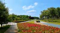 週末近郊遛娃打卡熱門地——鄭州龍湖濕地公園。