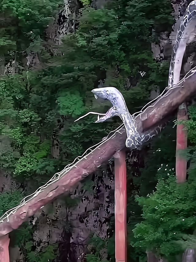 【寶藏】湖北黃岡的天堂寨，戶外探險的絕絕子！