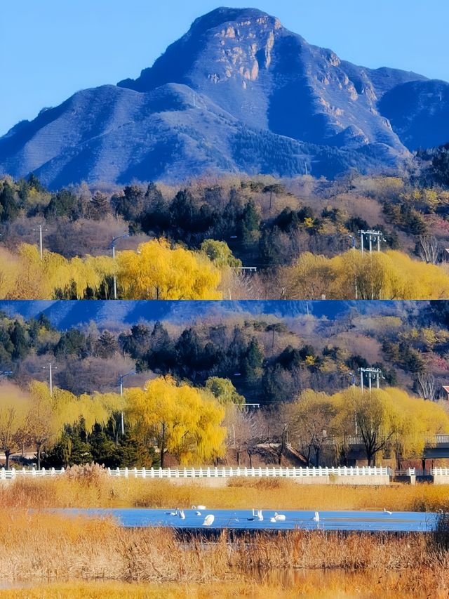 好漂亮啊！密雲太師屯和園公園推薦指數。