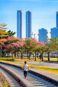 在廣州開往浪漫花海的列車好童話。