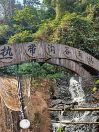 雨林行山是一種怎樣的體驗。