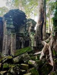 Glorious Angkor Thom Magnificent Ruins: Impression and Posession