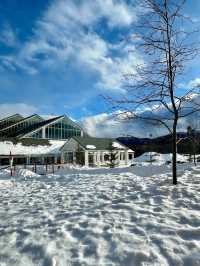 北海道度假村入住初體驗獻給了雪白的北海道。