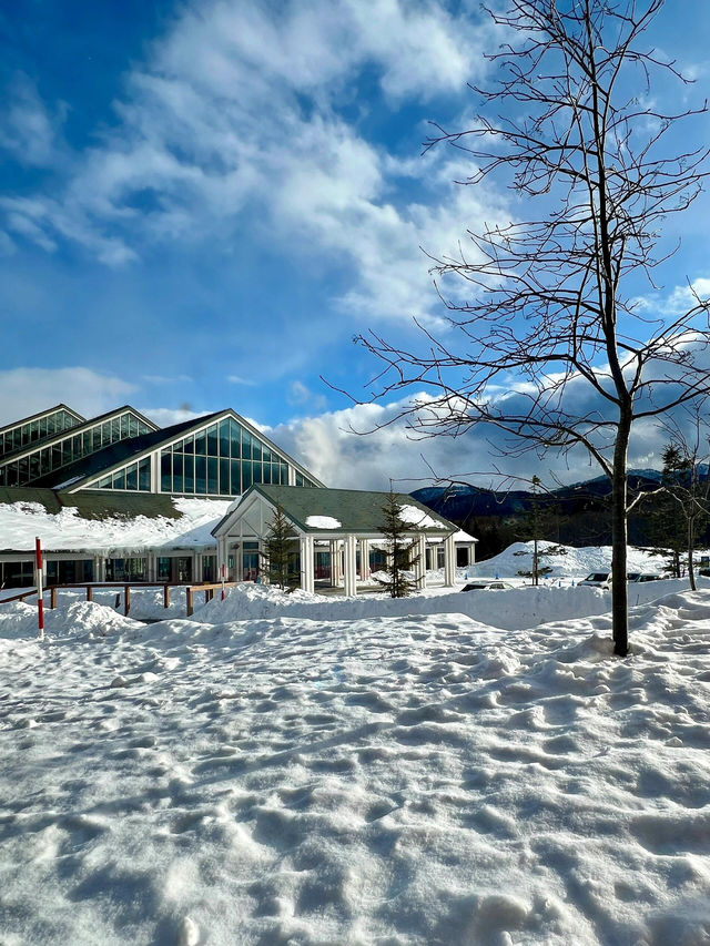 北海道度假村入住初體驗獻給了雪白的北海道。