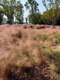 魔都新公園——半馬蘇河公園。