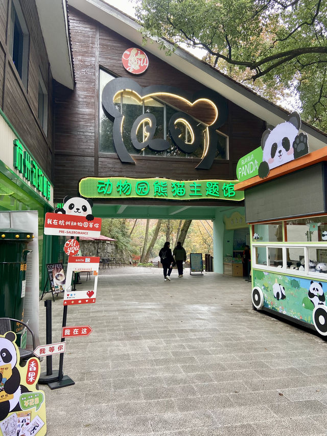 🐘🦒杭州動物園|又去看動物了🥳