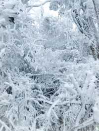 深圳出發2小時，高鐵直達看雪景