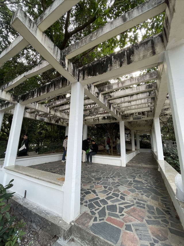 深圳龍華公園又對外開放啦！