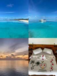 南棕櫚度假村 | South Palm Resort Maldives   酒店：South 