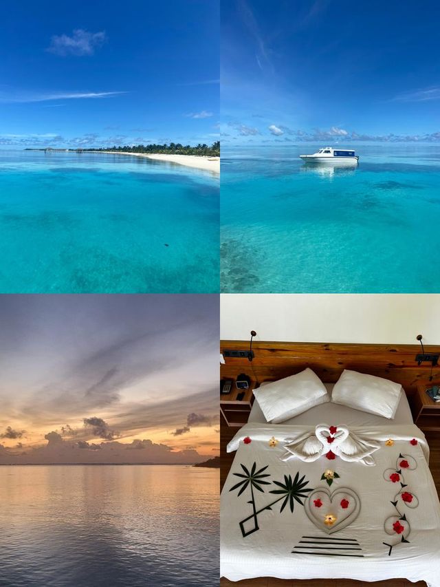南棕櫚度假村 | South Palm Resort Maldives   酒店：South 