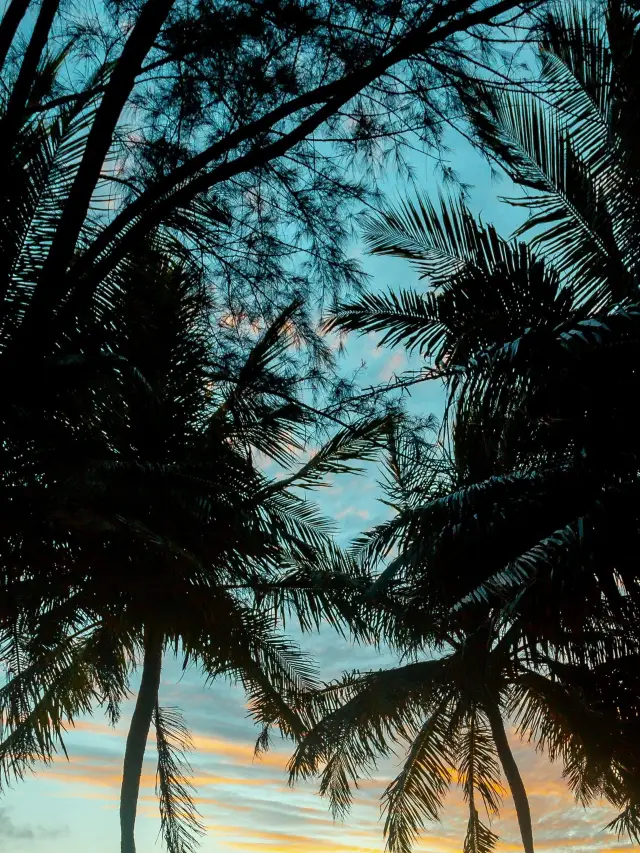 A Day in Tahiti: A Tropical Paradise in the Sea Breeze