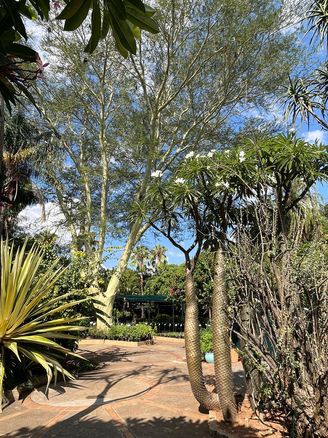 這裡是博茨瓦納，植物園一日遊～