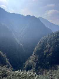 金華牛頭山國家森林公園｜金華八婺第一峰"