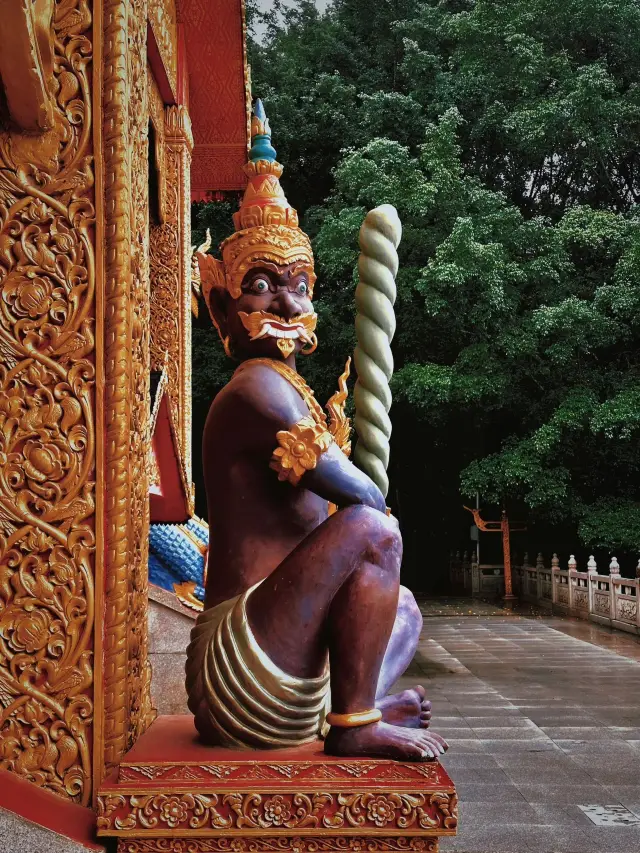 Yunnan Xishuangbanna-Kunming Exploration and Close Contact with National Treasures: A Must-See Guide