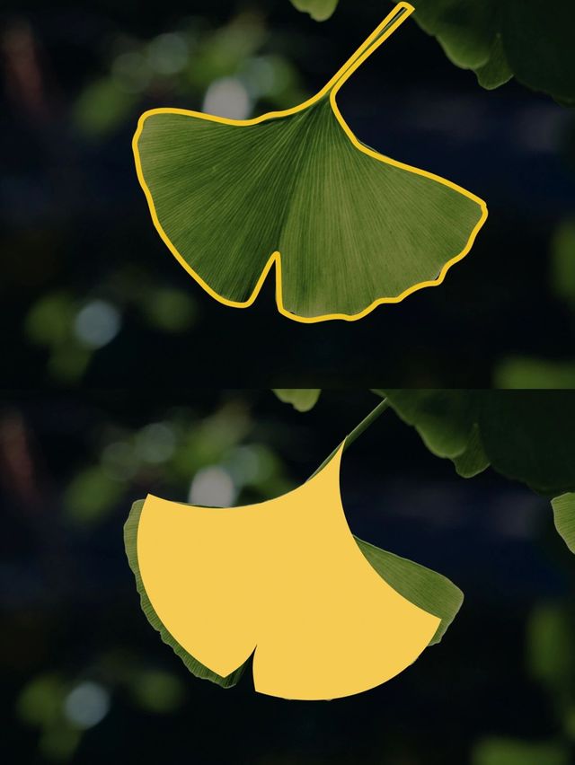 洪雅 震撼2天行程全解析