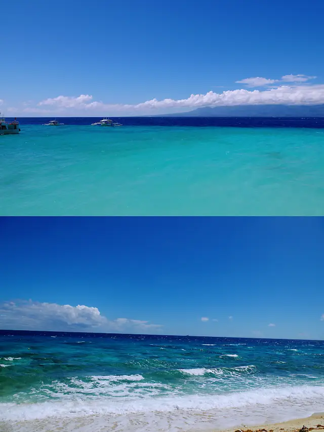 Cebu, Philippines | Oslob Whale Shark Diving & Sumilon Diving Guide