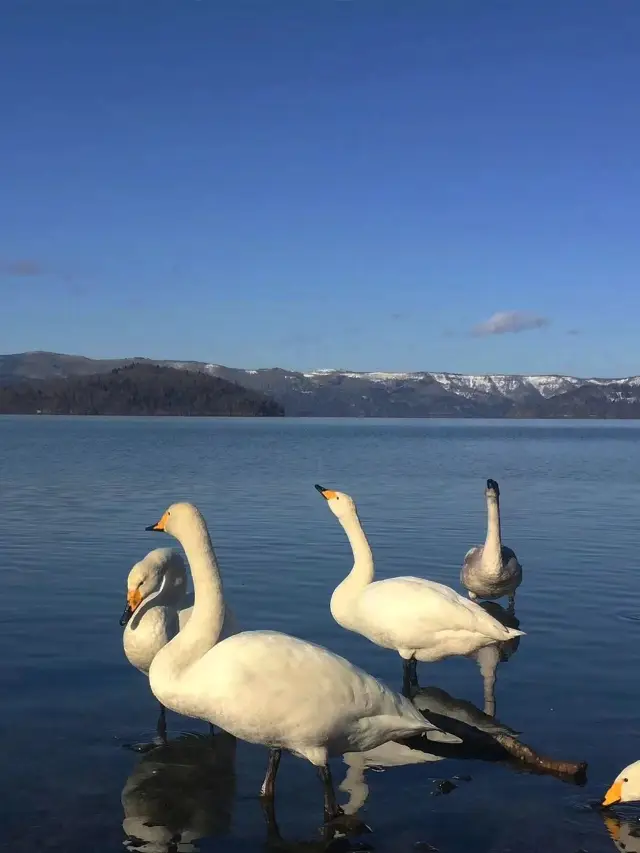 일본 2일 여행 전국 완벽 가이드
